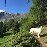Bella Vista Ξενοδοχείο 3*