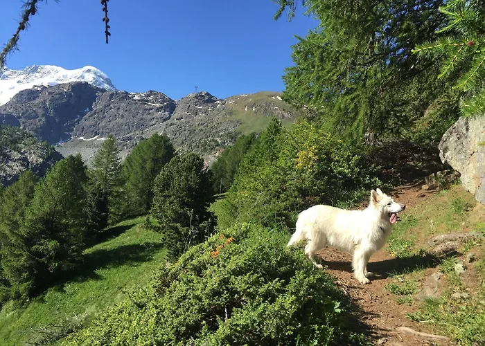 Bella Vista Hotel 3*